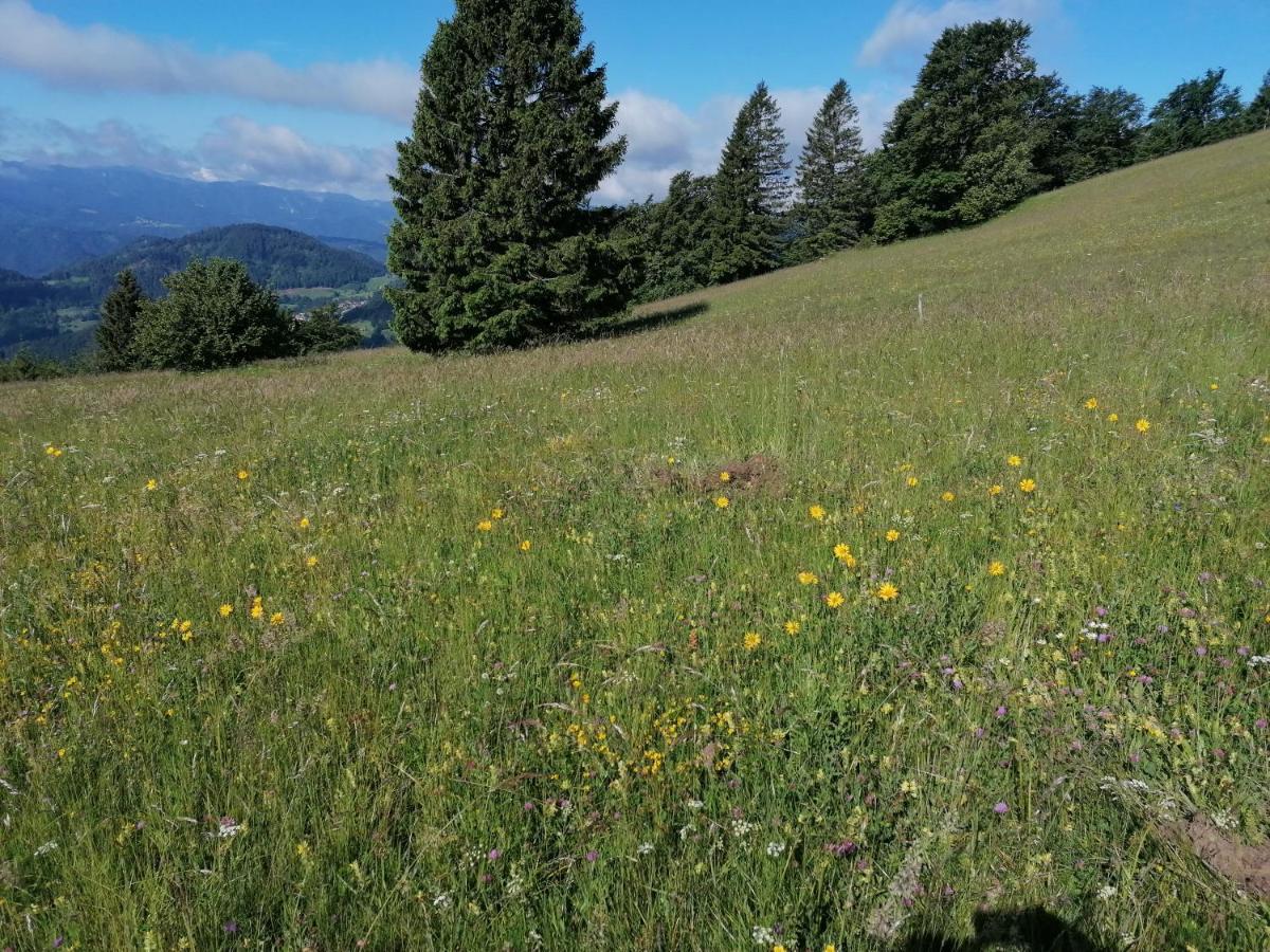 Apartma Na Ravnicah Cerkno Exterior photo