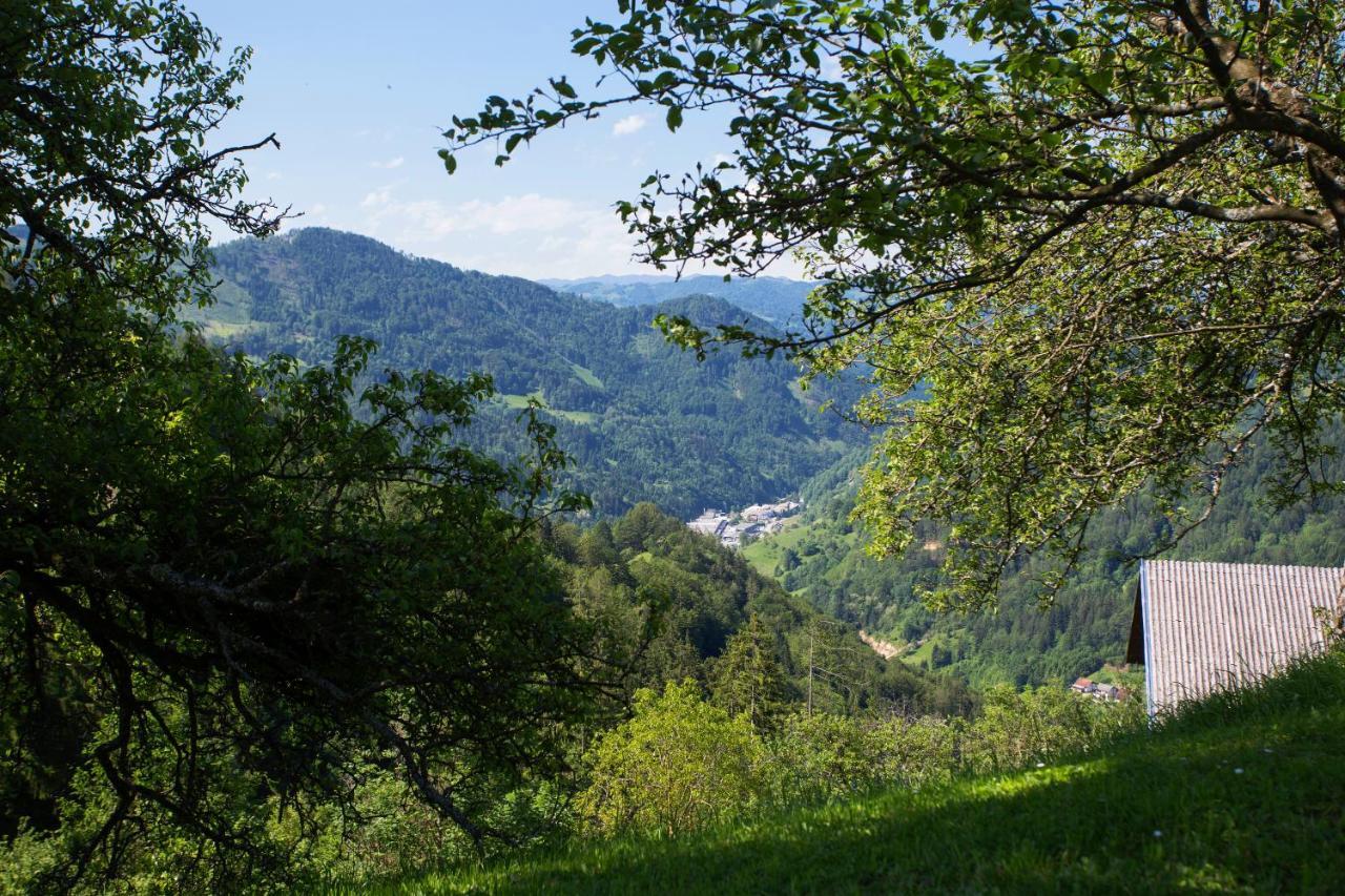Apartma Na Ravnicah Cerkno Exterior photo